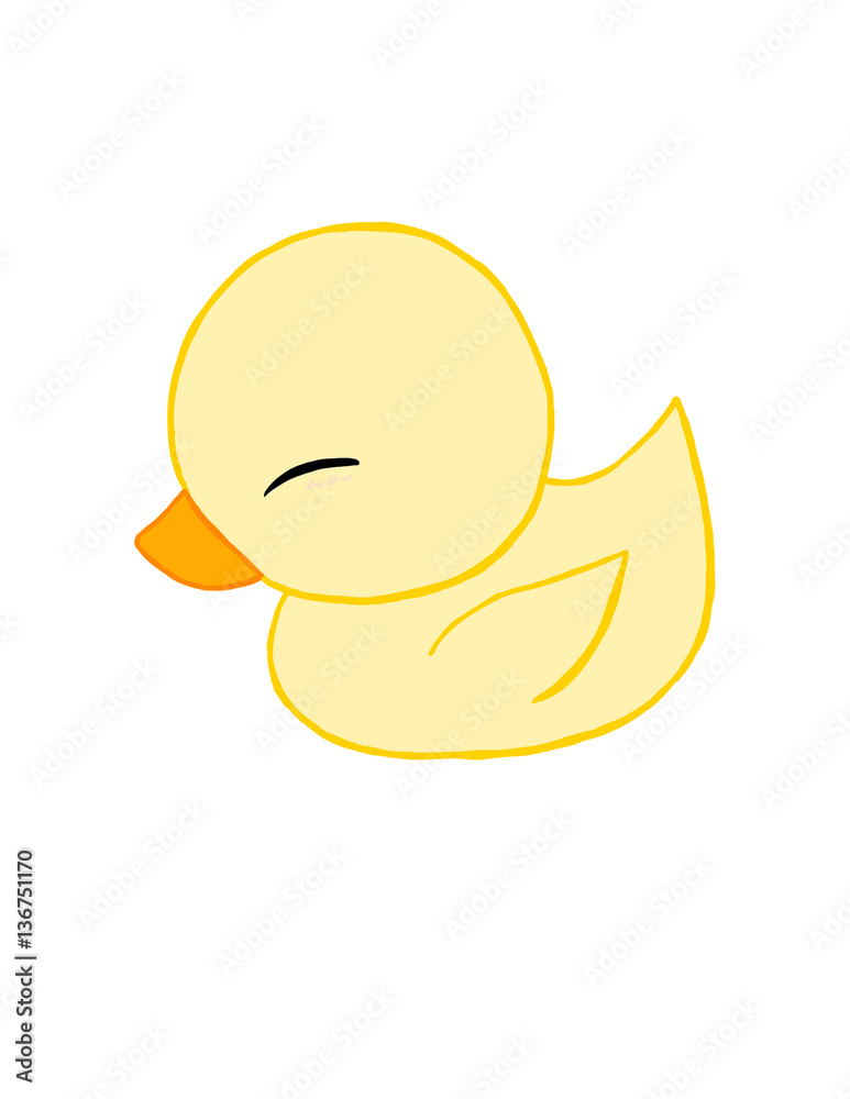 Fluffy Duckling Fluffy Duckling
