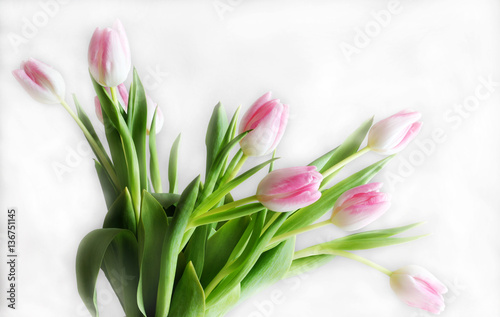 Fototapeta Naklejka Na Ścianę i Meble -  Bouquet of pink tulips on a white background