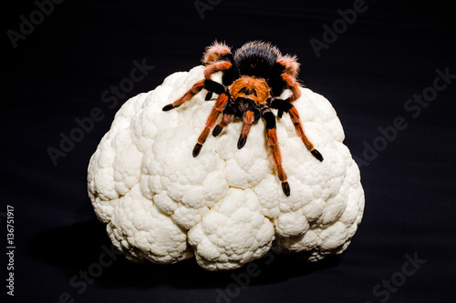 Foto Close-up of metaphoric representation of brain cancer, of dementia, depression, schizophrenia