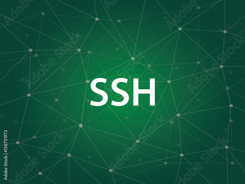 ssh - Secure Shell usually used for remote login and encrypted file transfers