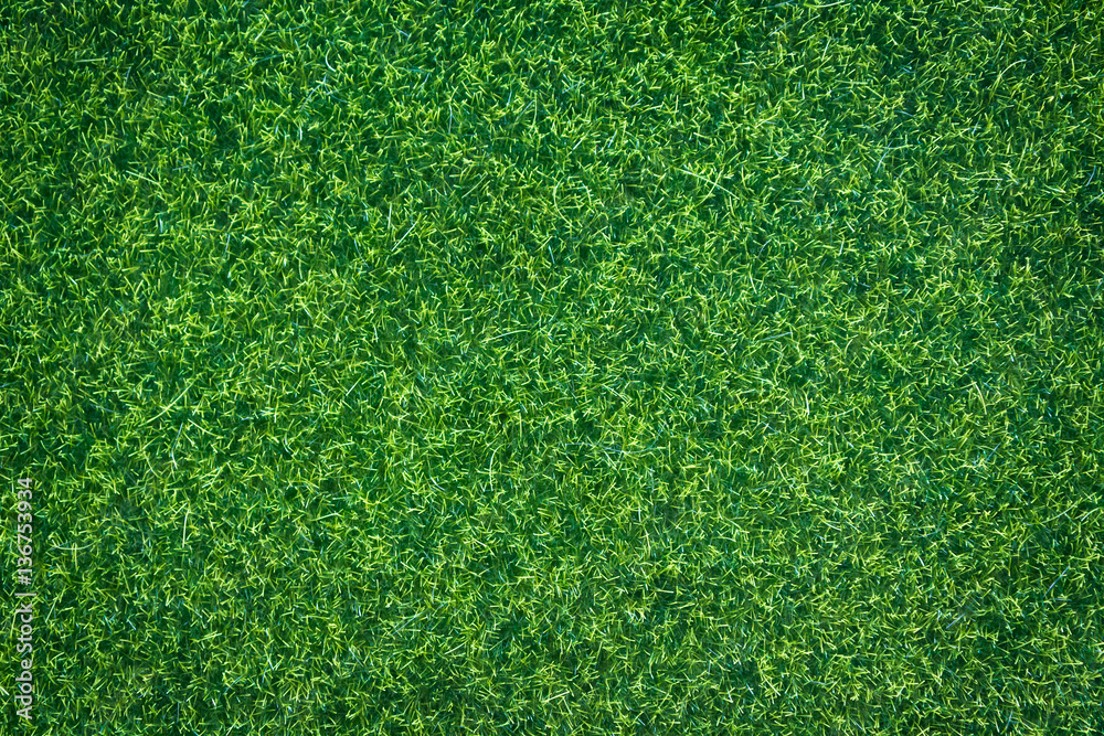 Fototapeta premium green grass natural background texture.