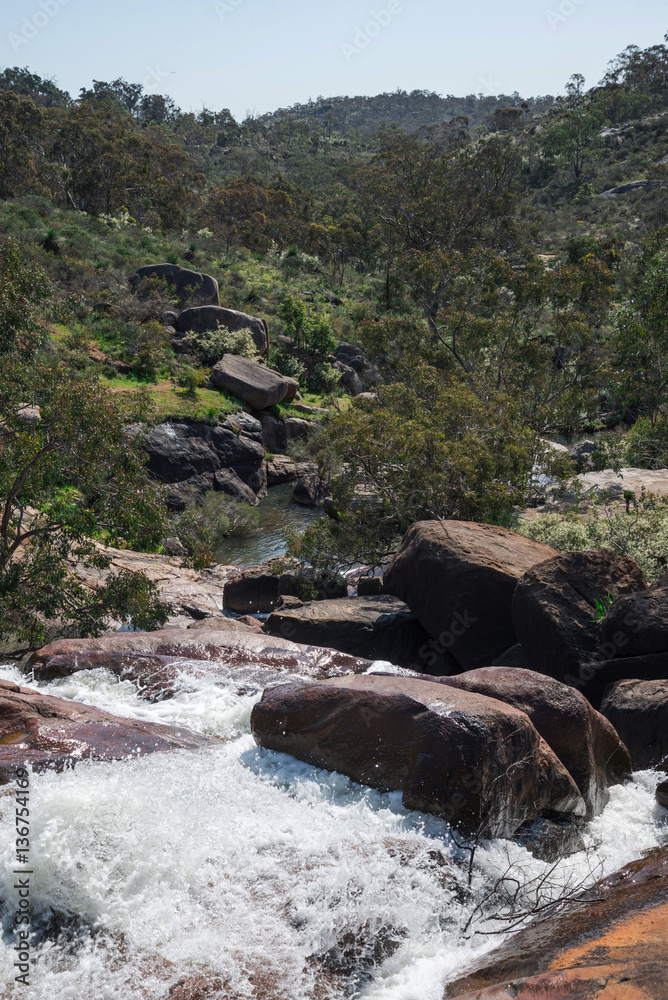 A view of John Forrest National Park valley from top of the fall