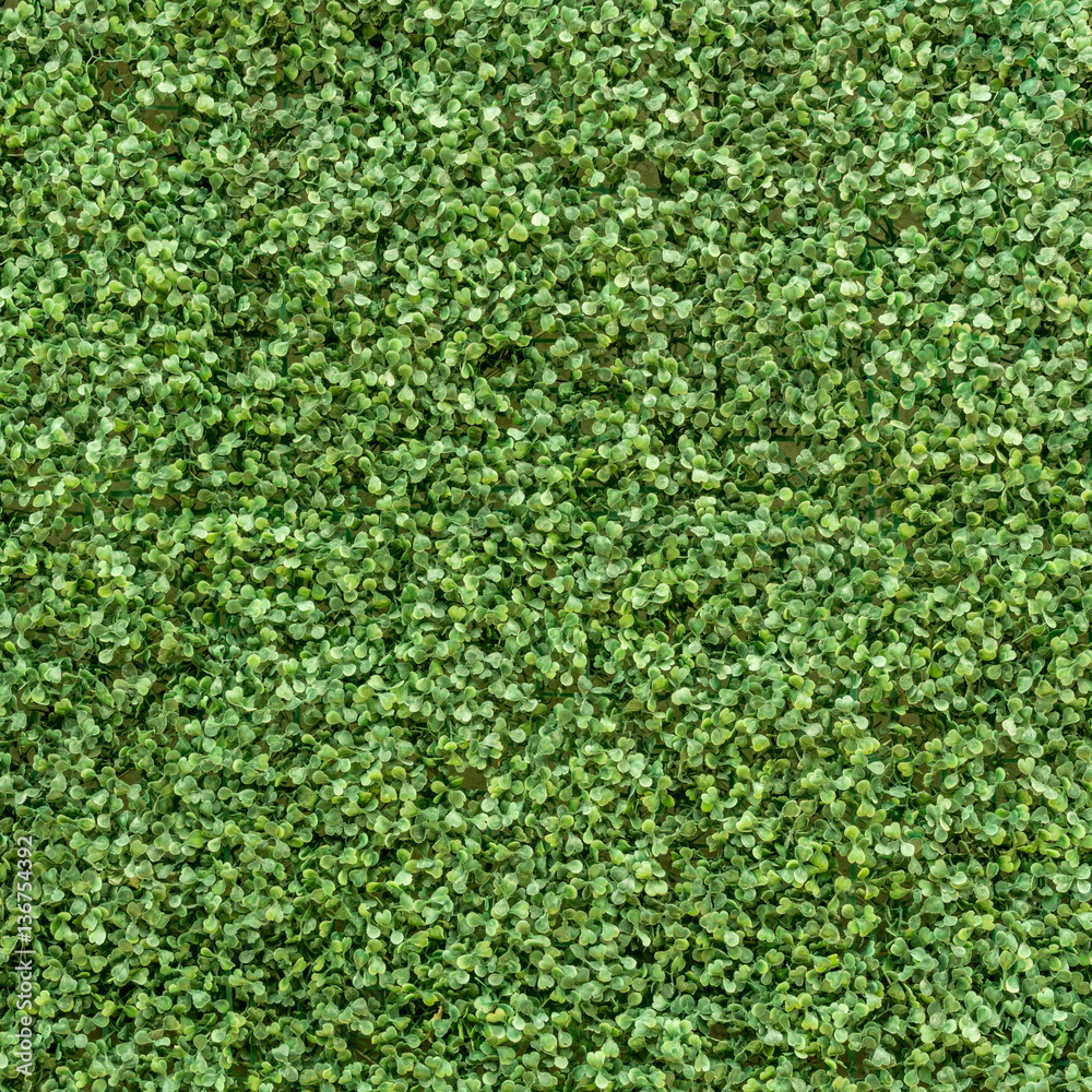 Green leaves wall Green leaves wall