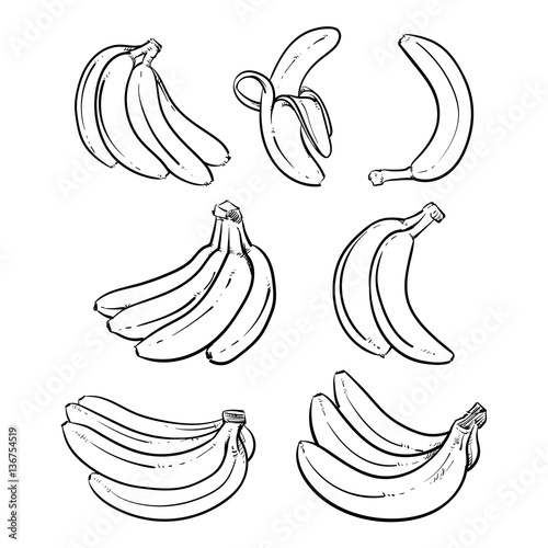 Yellow Bananas vector illustration on white background.