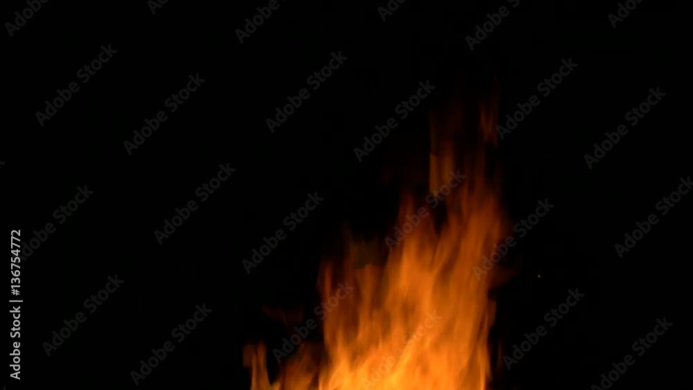 bonfire bonfire
