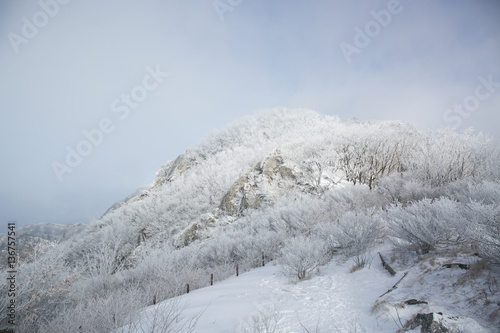 겨울나무,상고대 © photok21