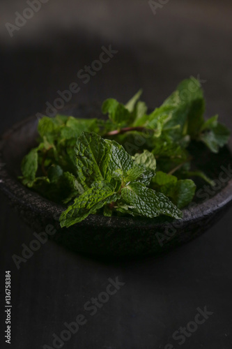 Mint leaves on dark background
