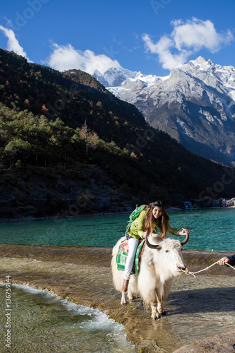 Woman riding on yark and Blue moon valley in lijiang city ,China.It  at the foot of Jade Dragon Snow Mountain. photo