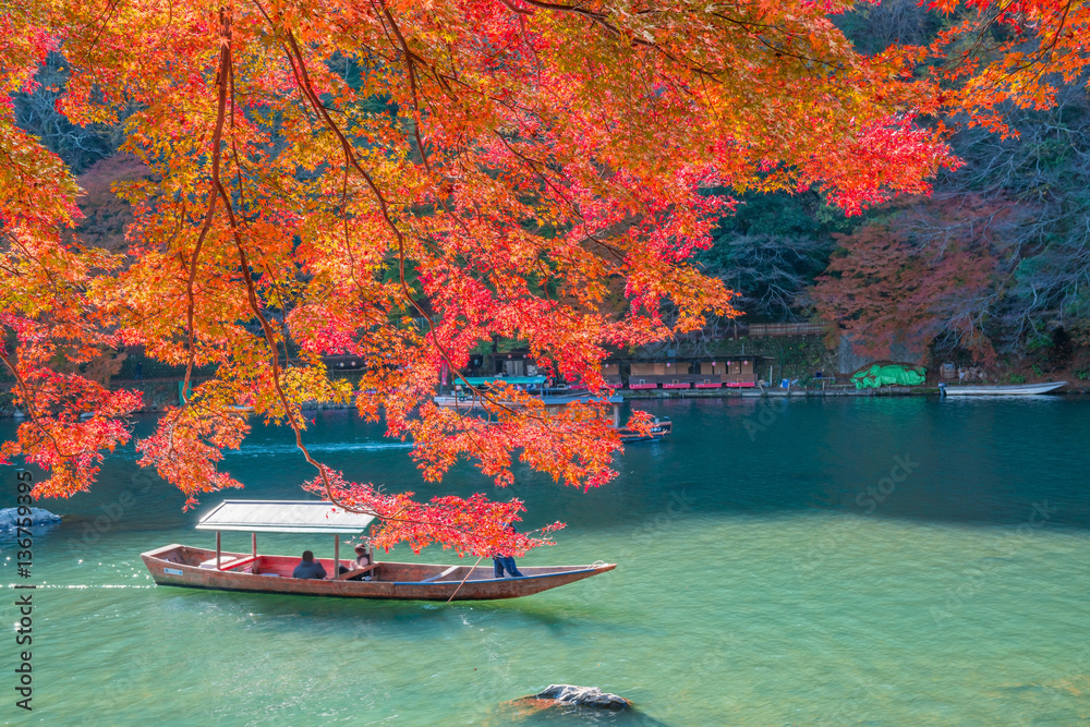 Fototapeta premium Jesienne liście w Arashiyama, Kioto