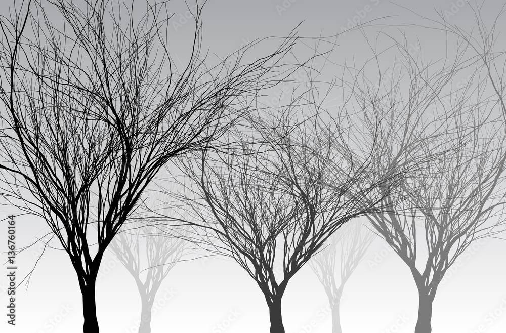 Fotografie Bare trees in the fog - vector illustration