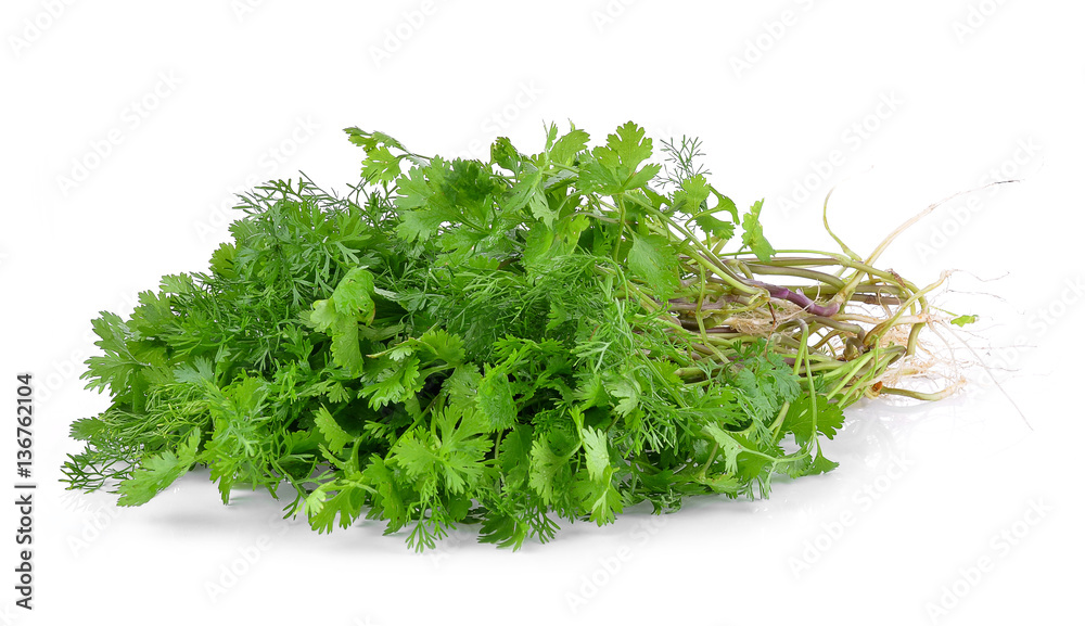 Bunch of fresh coriander leaves over white background Bunch of fresh coriander leaves over white background