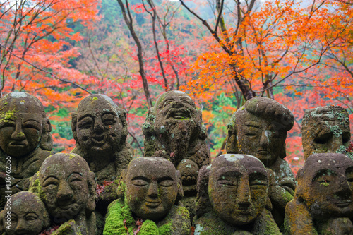 京都　おたぎ念仏寺の紅葉 photo