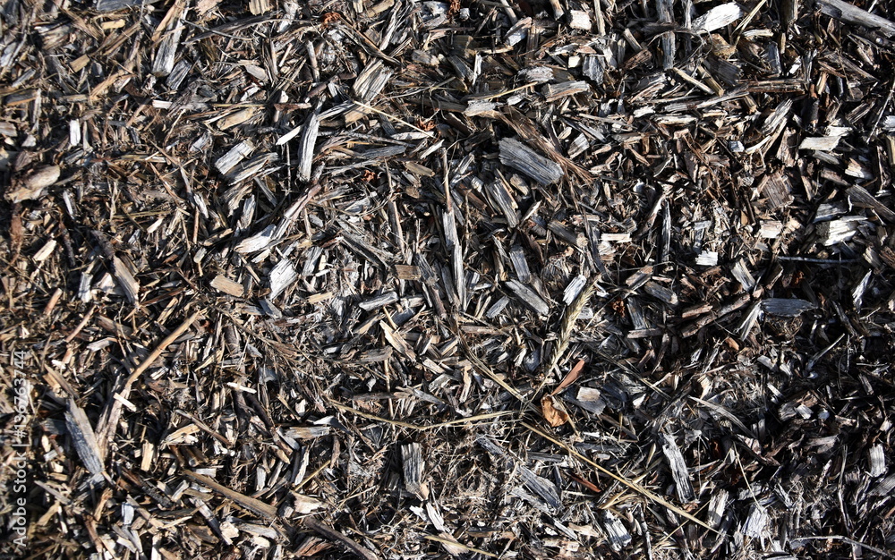 Bark leaves and wood chippings mulch as an abstract coarse background texture. Bark leaves and wood chippings mulch as an abstract coarse background texture.