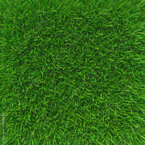 Green grass. natural background texture. fresh spring green grass. 3d rendering