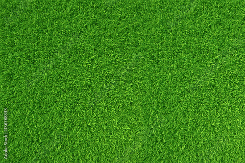 Fototapeta Zielona trawa. naturalne tło tekstury. wysoka rozdzielczość. 3d rendering