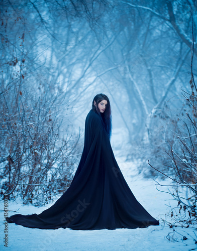 Quadro su tela fairy tale girl a demon walks alone in winter forest