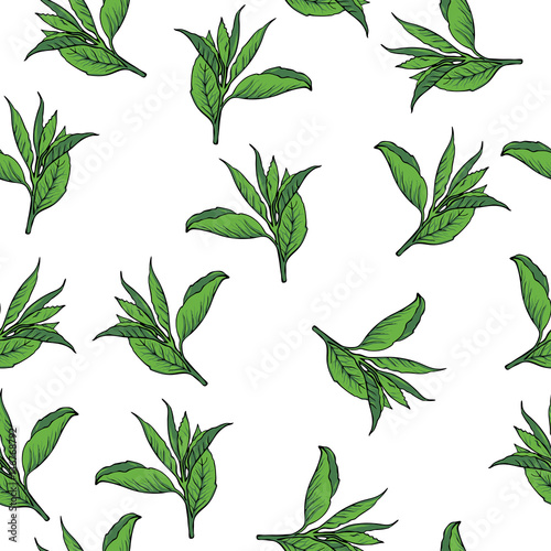 Seamless pattern with green tea leaves on white background. Hand drawn vector illustration.