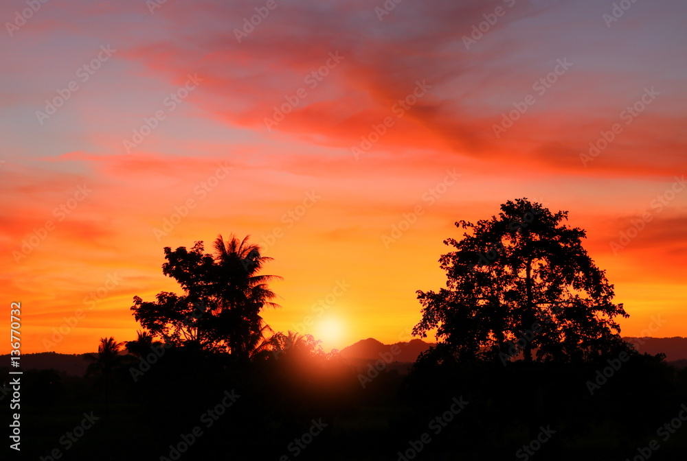 sky in sunset and motion cloud colorful beautiful with silhouett tree