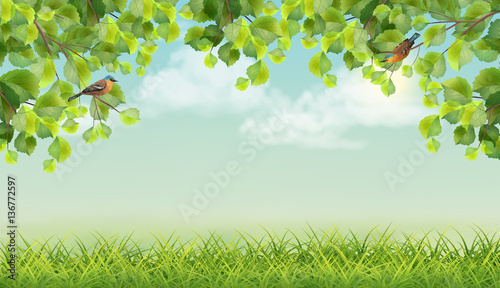 Vector Summer landscape