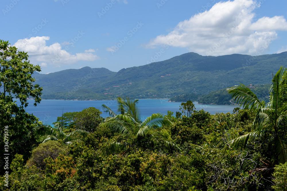 Obraz premium Seychelles