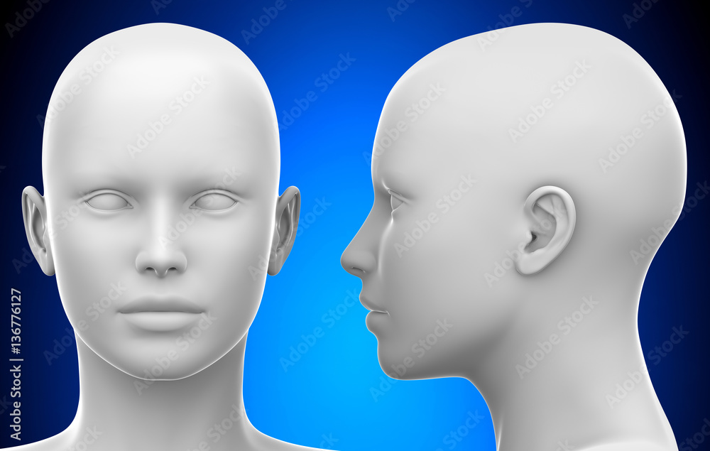 Blank White Female Head - Side and Front view 3D illustration