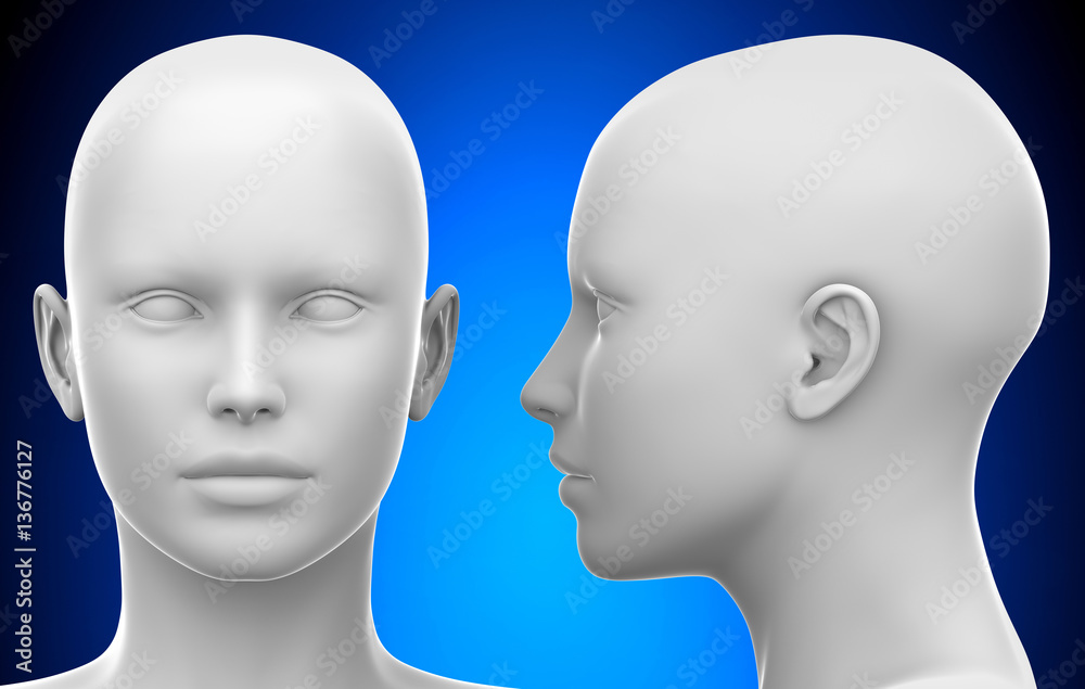 350,936 Woman Face Profile Images, Stock Photos, 3D objects