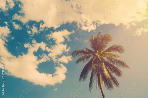 Coconut palm trees and shining sun with vintage effect.