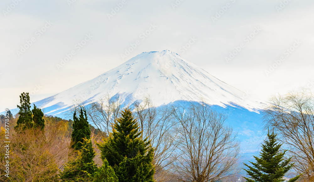 Obraz premium Fuji mountain in late winter,Japan.