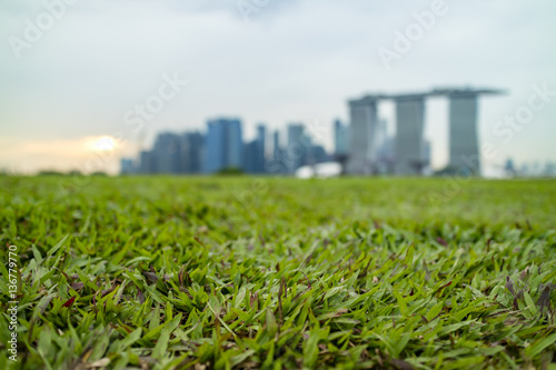 Green field with blurred city background at sunset