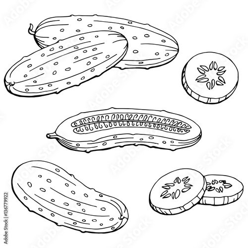 Cucumber graphic black white isolated sketch illustration vector