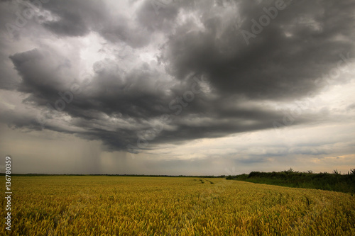 Stormy sky over the fields, during summer