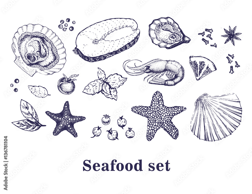 Vector hand drawn collection of seafood.