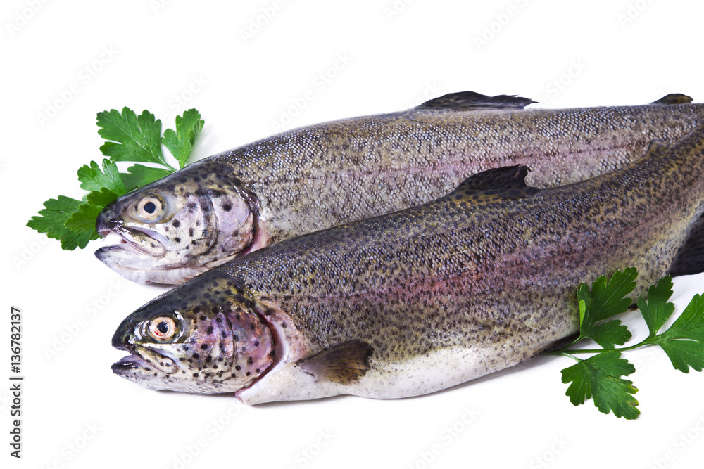 Trout with parsley isolated