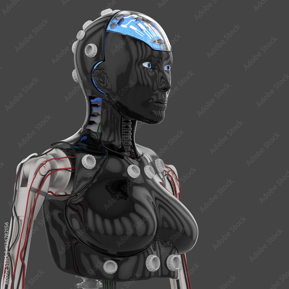3D Illustration Of A Female Humanoid Android Robot 3D Illustration Of A Female Humanoid Android Robot
