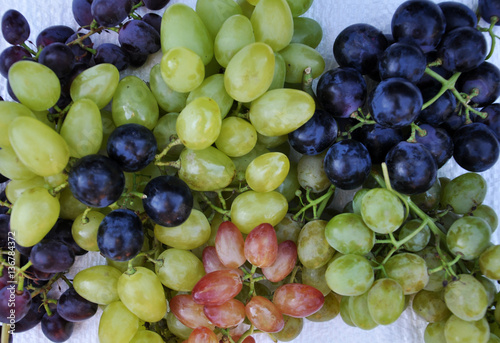 Composition of ripe grapes of different varieties and colors photo