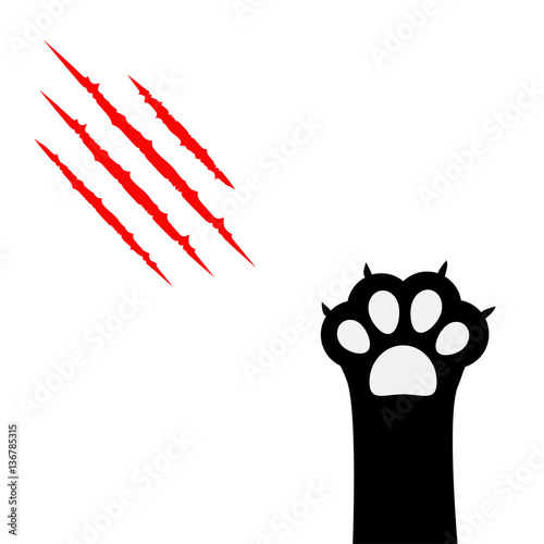 Black cat paw print leg foot. Bloody claws scratching animal red scratch scrape track. Cute cartoon character body part silhouette. Baby pet collection. Flat design. Isolated. White background.