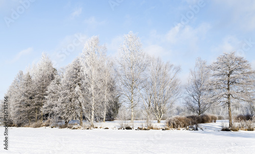 Sunny winter day in Finland © photojanski