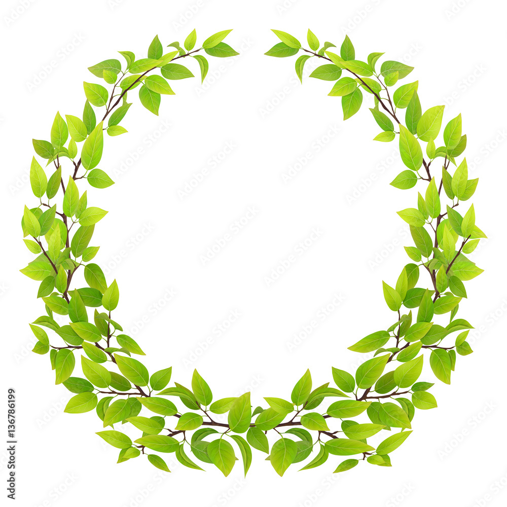 Big wreath of tree branches with green leaves. Vector illustration. Design element for floral emblem.
