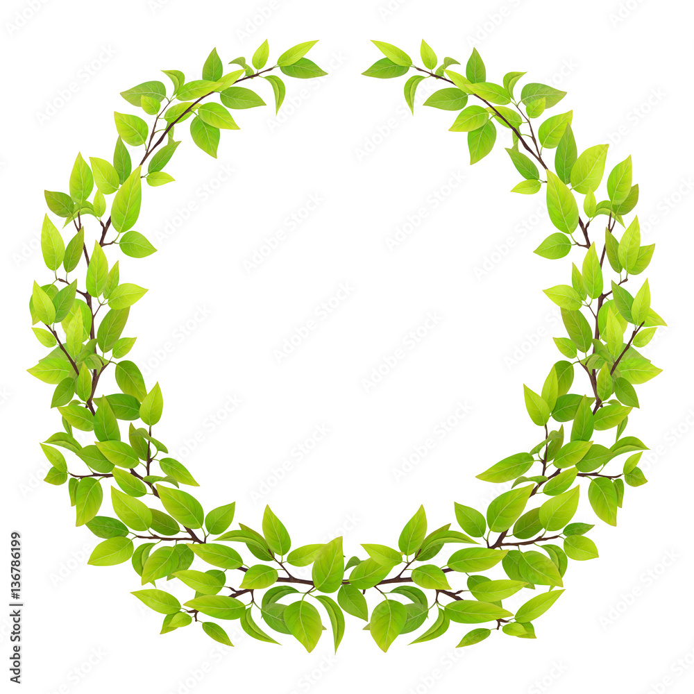 Big wreath of tree branches with green leaves. Vector illustration. Design element for floral emblem. Big wreath of tree branches with green leaves. Vector illustration. Design element for floral emblem.