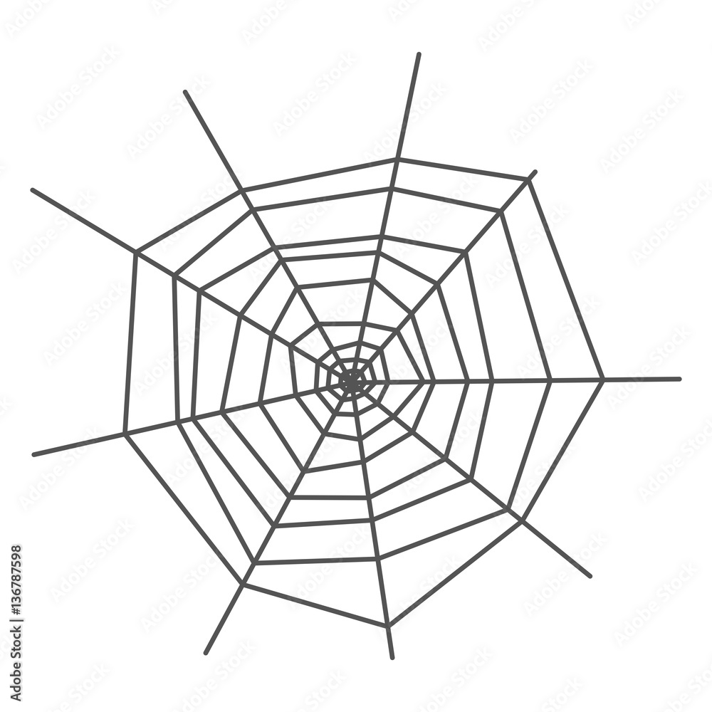 Fototapeta premium Spider web isolated on white background. Vector illustration