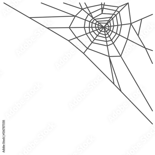 Spider web isolated on white background. Vector illustration