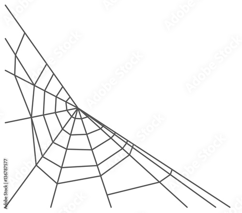 Spider web isolated on white background. Vector illustration