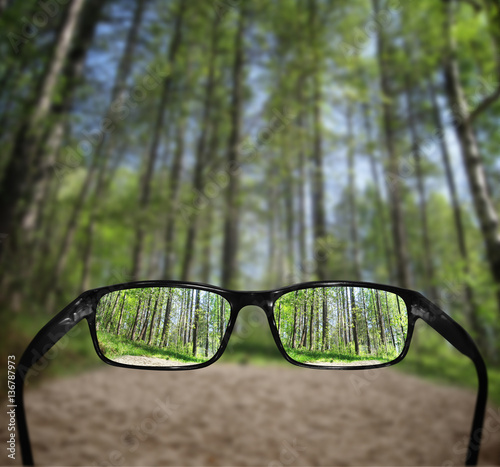 Fototapeta Naklejka Na Ścianę i Meble -  Glasses, vision concept, forest