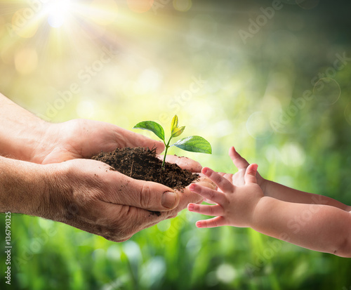 Old Man Giving Young Plant To A Child - Environment Protection For New Generation
