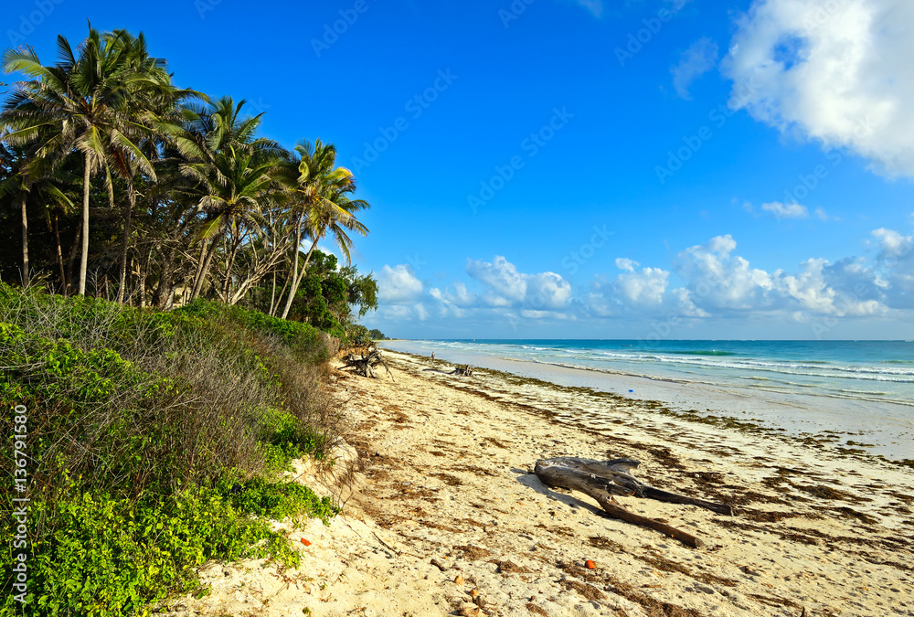 Picturesque coast Diani