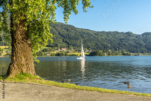 Enten und Segelboot auf dem Ossiacher See