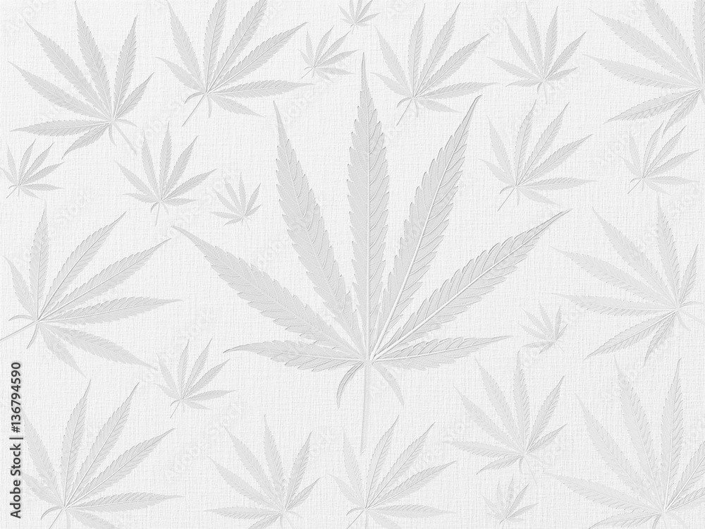 white background texture with cannabis leafs