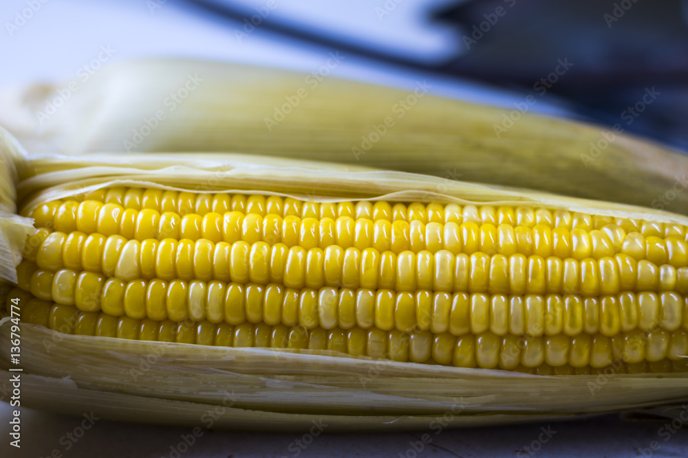 boiled corn boiled corn