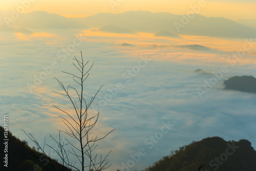 Morning Fog on mountain