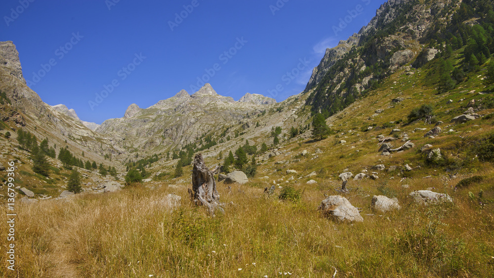 Montains of the estrop, the park of Mercantour, department of the Alpes-Maritimes, France